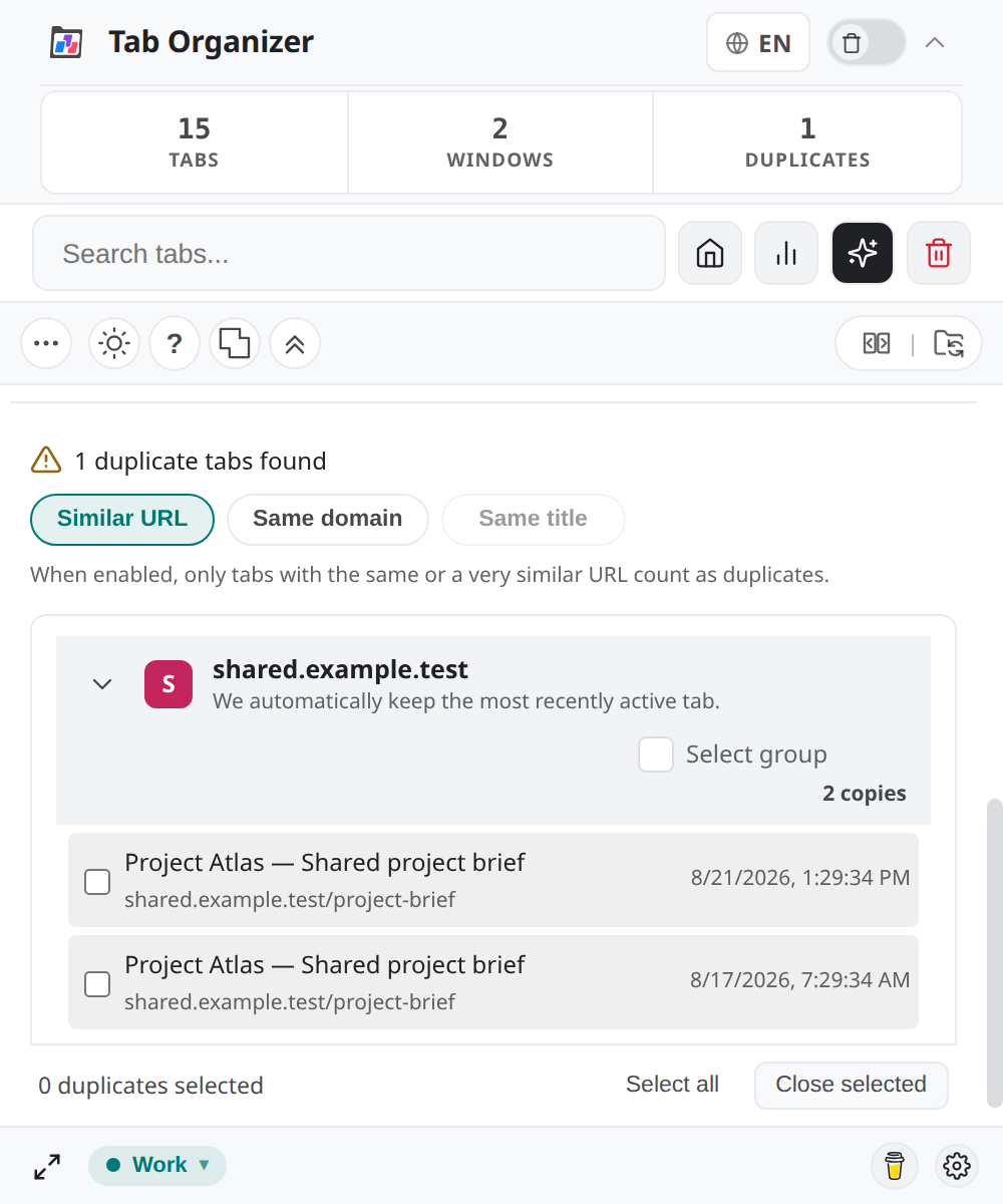 Duplicates view showing two identical synthetic project tabs for controlled cleanup.